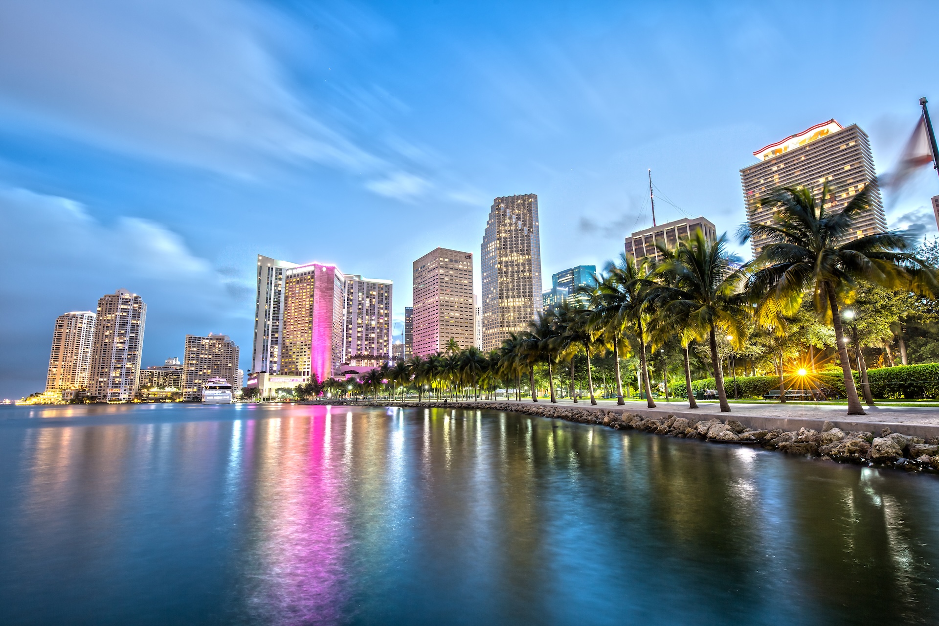 A vibrant city skyline with tall, illuminated buildings reflected in calm water at dusk, bordered by a row of palm trees along a waterfront promenade.