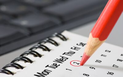 Can Businesses Enter Into IRS Payment Plans for Owed Taxes?